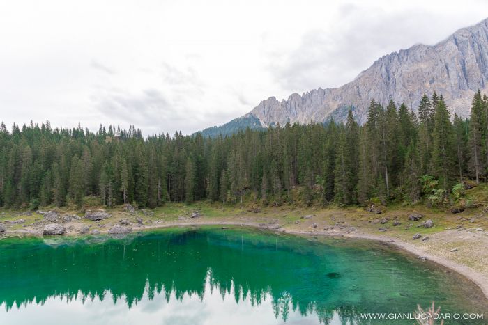 Lago di Carezza .. dopo il passaggio di Vaia - foto 5 - Gianluca Dario Photography