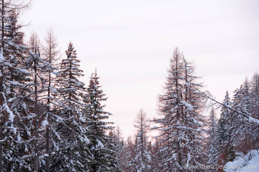 Panorama dal passo Fedaia in inverno - foto 10 - Gianluca Dario Photography
