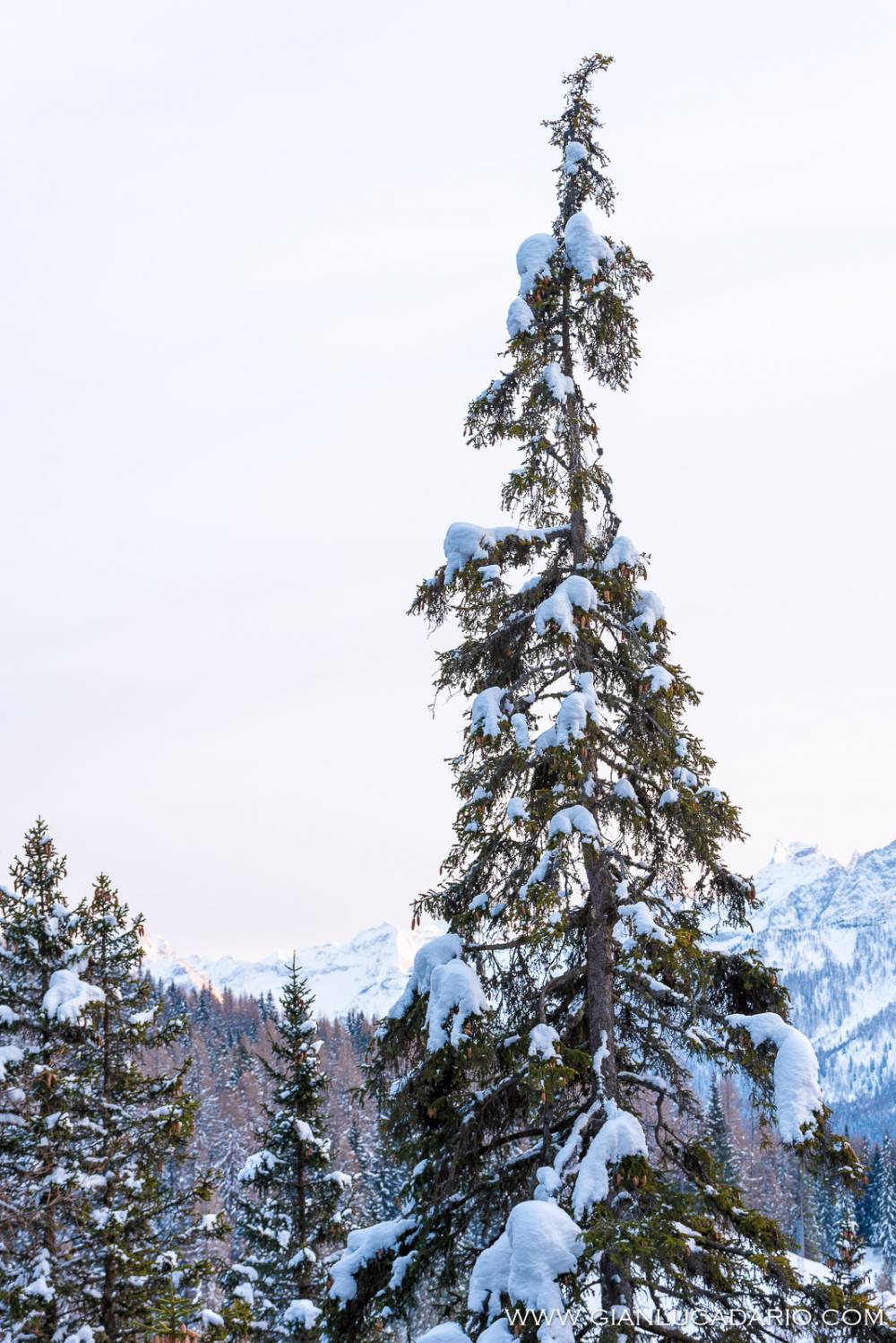 Panorama dal passo Fedaia in inverno - foto 12 - Gianluca Dario Photography