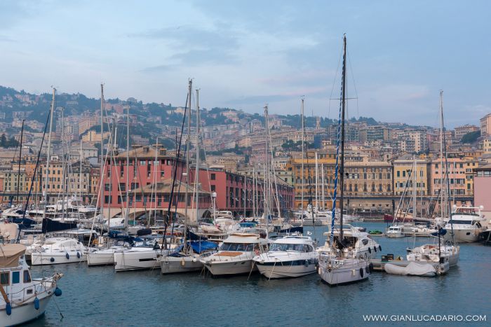 Acquario di Genova - foto 17 - Gianluca Dario Photography