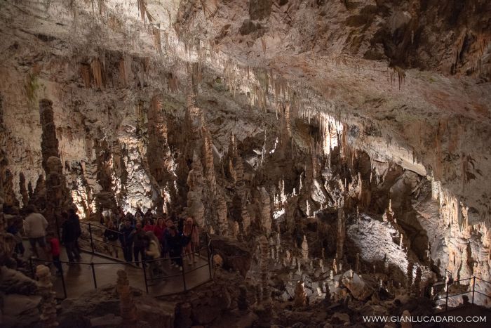 Alle grotte di Postumia - foto 14 - Gianluca Dario Photography