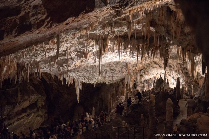 Alle grotte di Postumia - foto 15 - Gianluca Dario Photography