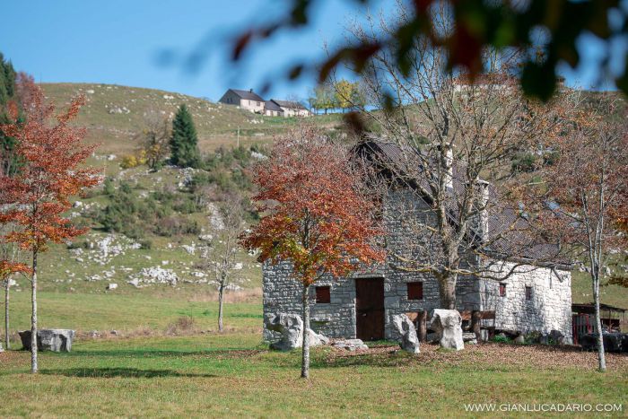 Autunno nel Pizzoc - foto 15 - Gianluca Dario Photography