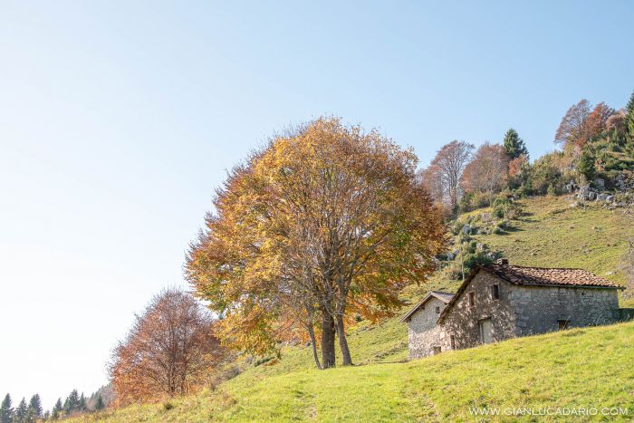 Autunno nel Pizzoc - foto 17 - Gianluca Dario Photography