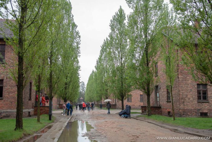 Campo di sterminio di Auschwitz e Birkenau - foto 2 - Gianluca Dario Photography