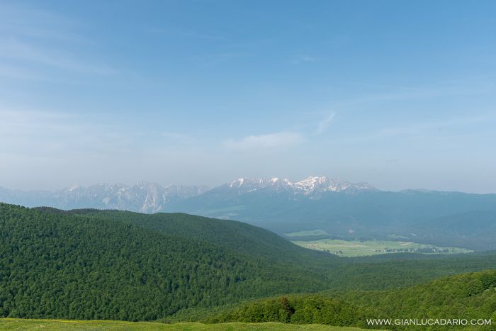 Dal Pizzoc, primavera 2019 - foto 6 - Gianluca Dario Photography