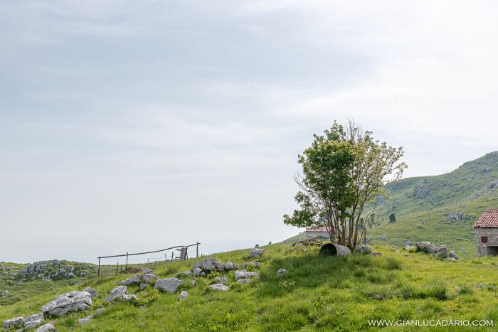 Dal Pizzoc, primavera 2019 - foto 19 - Gianluca Dario Photography