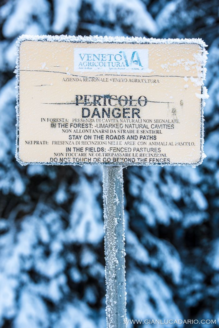 Il bosco del Cansiglio in inverno - foto 10 - Gianluca Dario Photography