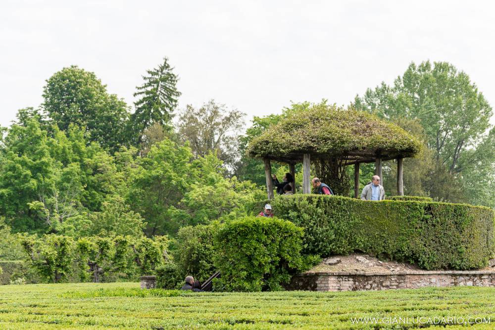 Il giardino Valsanzibio - foto 0 - Gianluca Dario Photography
