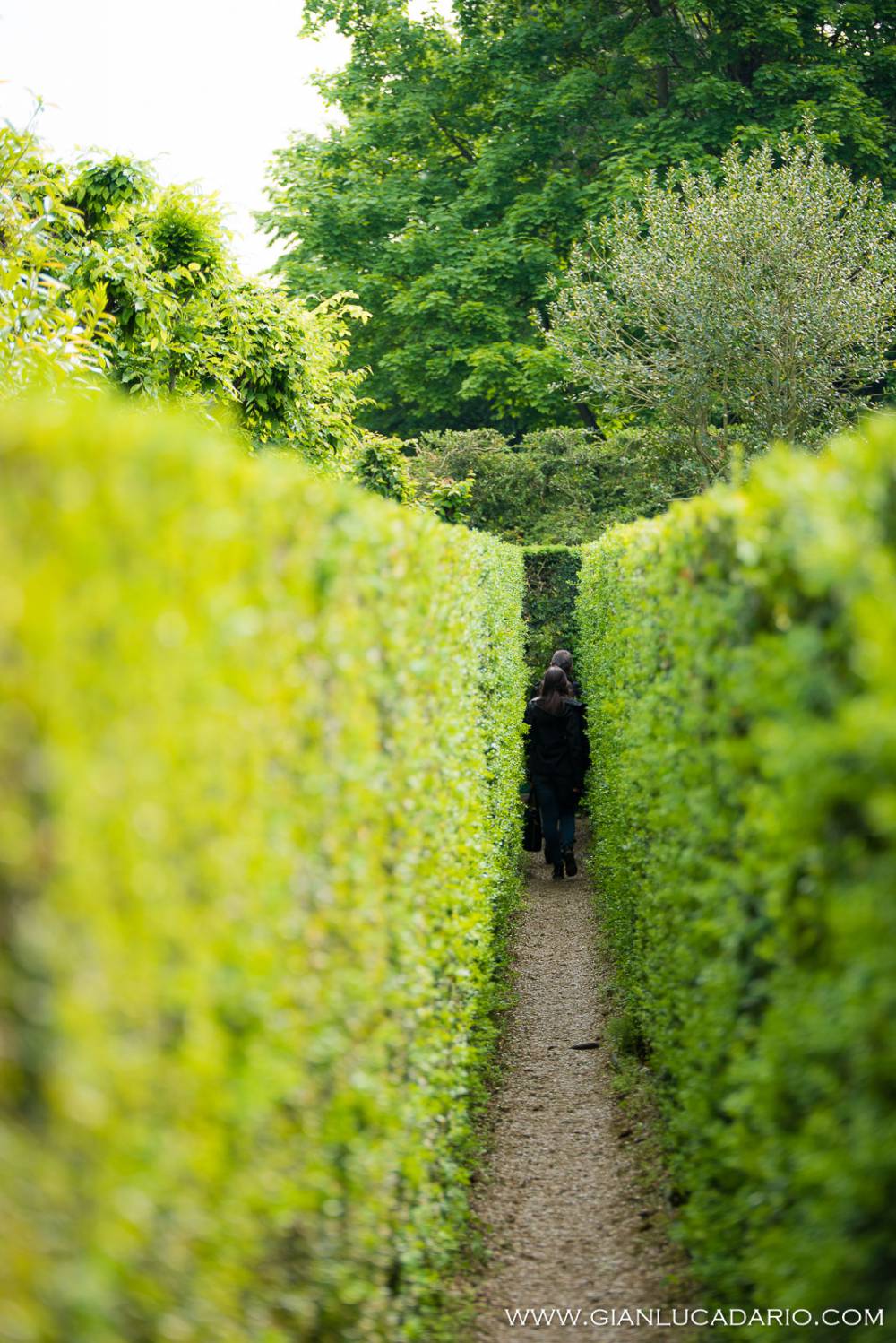 Il giardino Valsanzibio - foto 1 - Gianluca Dario Photography
