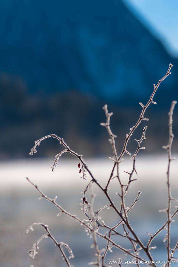 Lado di Dobbiacco in inverno - foto 7 - Gianluca Dario Photography