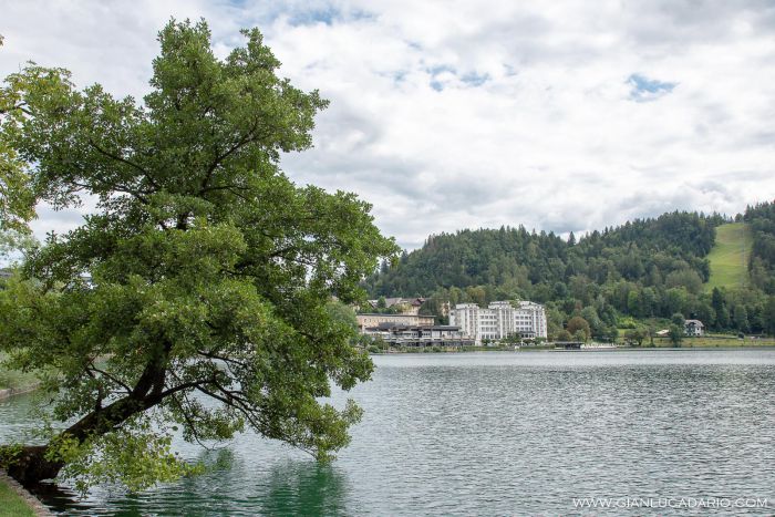 Lago di Bled - foto 14 - Gianluca Dario Photography