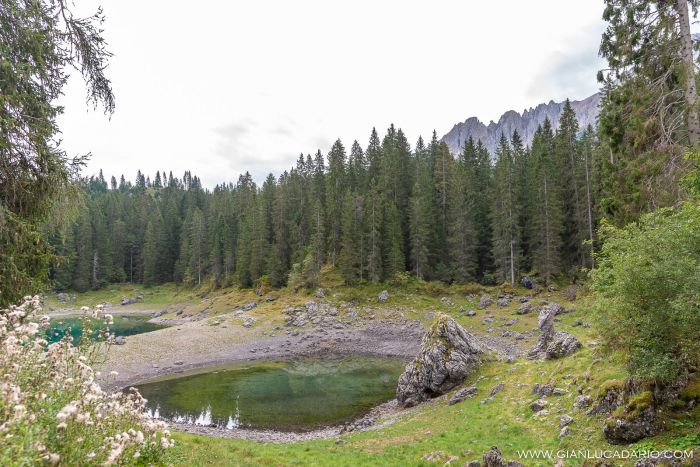 Lago di Carezza .. dopo il passaggio di Vaia - foto 0 - Gianluca Dario Photography