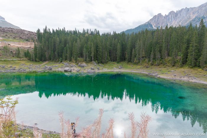 Lago di Carezza .. dopo il passaggio di Vaia - foto 3 - Gianluca Dario Photography