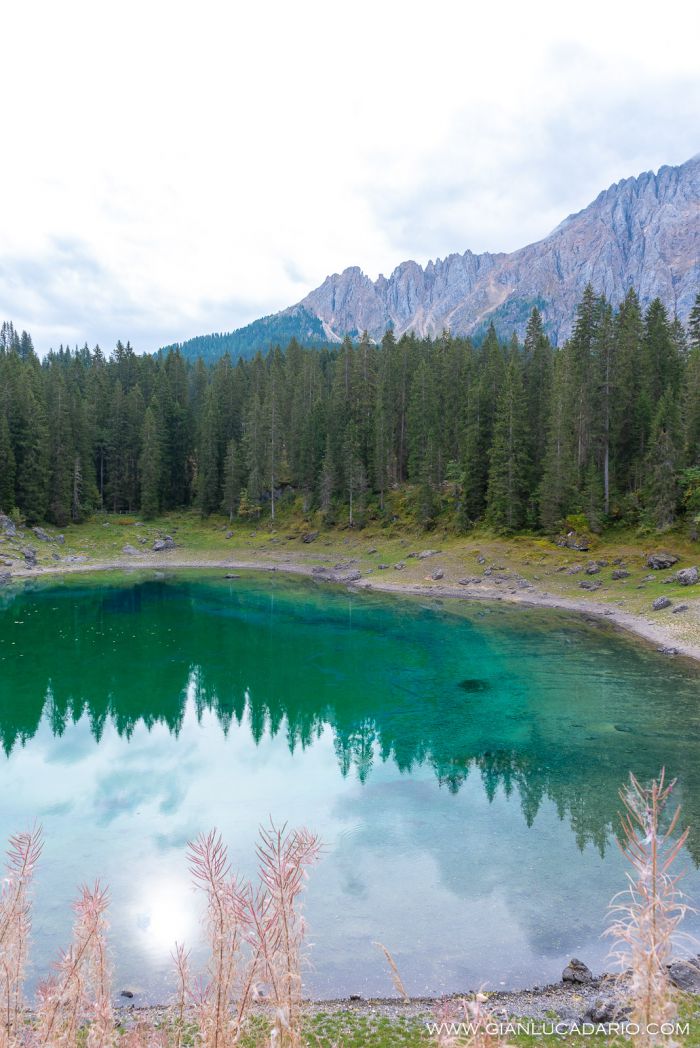 Lago di Carezza .. dopo il passaggio di Vaia - foto 4 - Gianluca Dario Photography