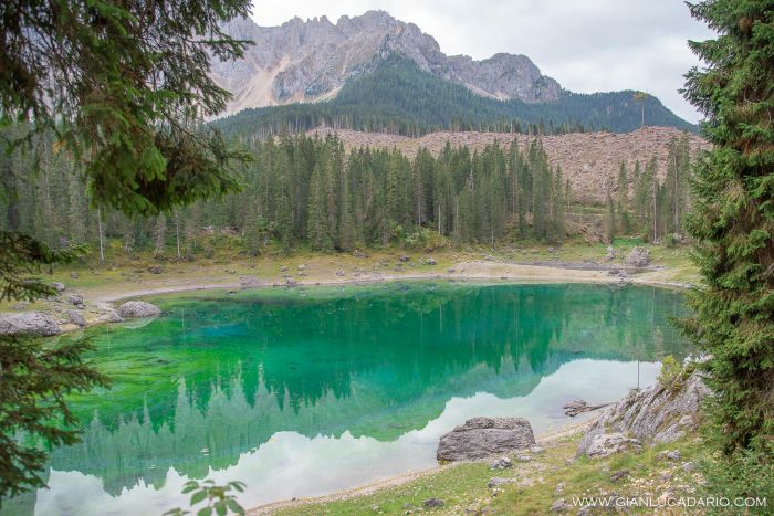 Lago di Carezza .. dopo il passaggio di Vaia - foto 9 - Gianluca Dario Photography