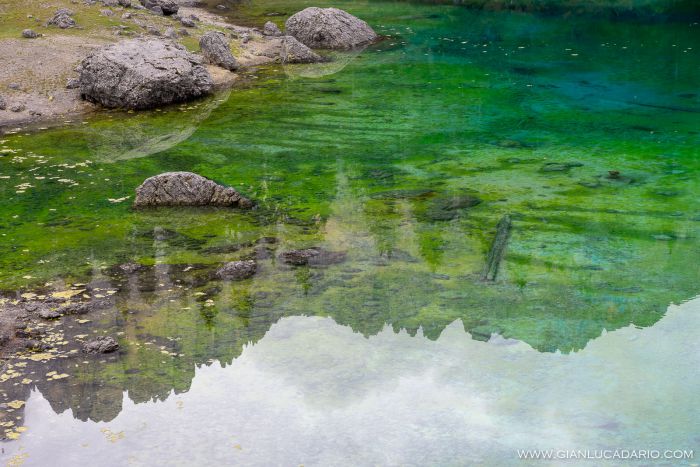 Lago di Carezza .. dopo il passaggio di Vaia - foto 11 - Gianluca Dario Photography