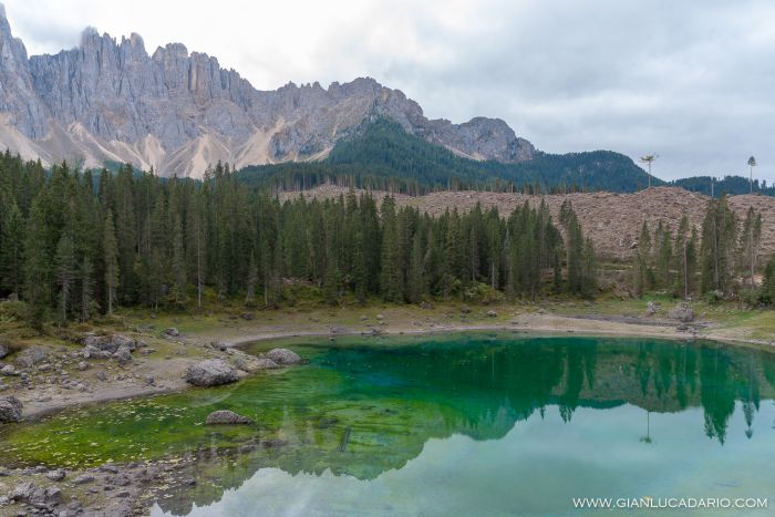 Lago di Carezza .. dopo il passaggio di Vaia - foto 12 - Gianluca Dario Photography