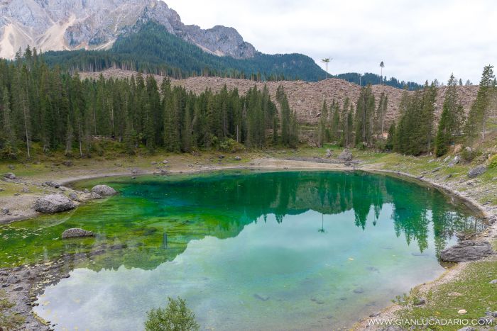 Lago di Carezza .. dopo il passaggio di Vaia - foto 13 - Gianluca Dario Photography