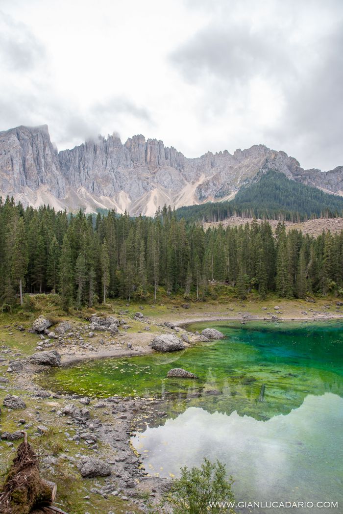 Lago di Carezza .. dopo il passaggio di Vaia - foto 14 - Gianluca Dario Photography