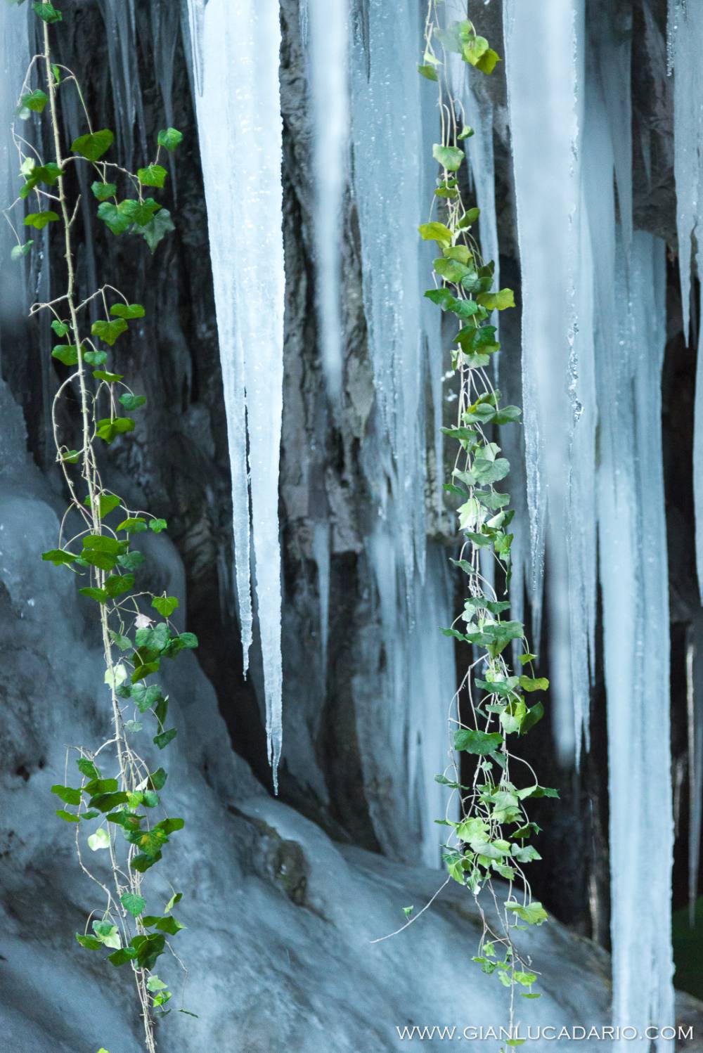 Le grotte del Caglieron in versione invernale - foto 13 - Gianluca Dario Photography