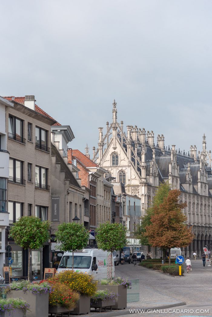Lovanio e Mechelen - magnifiche cittadine belghe - foto 9 - Gianluca Dario Photography