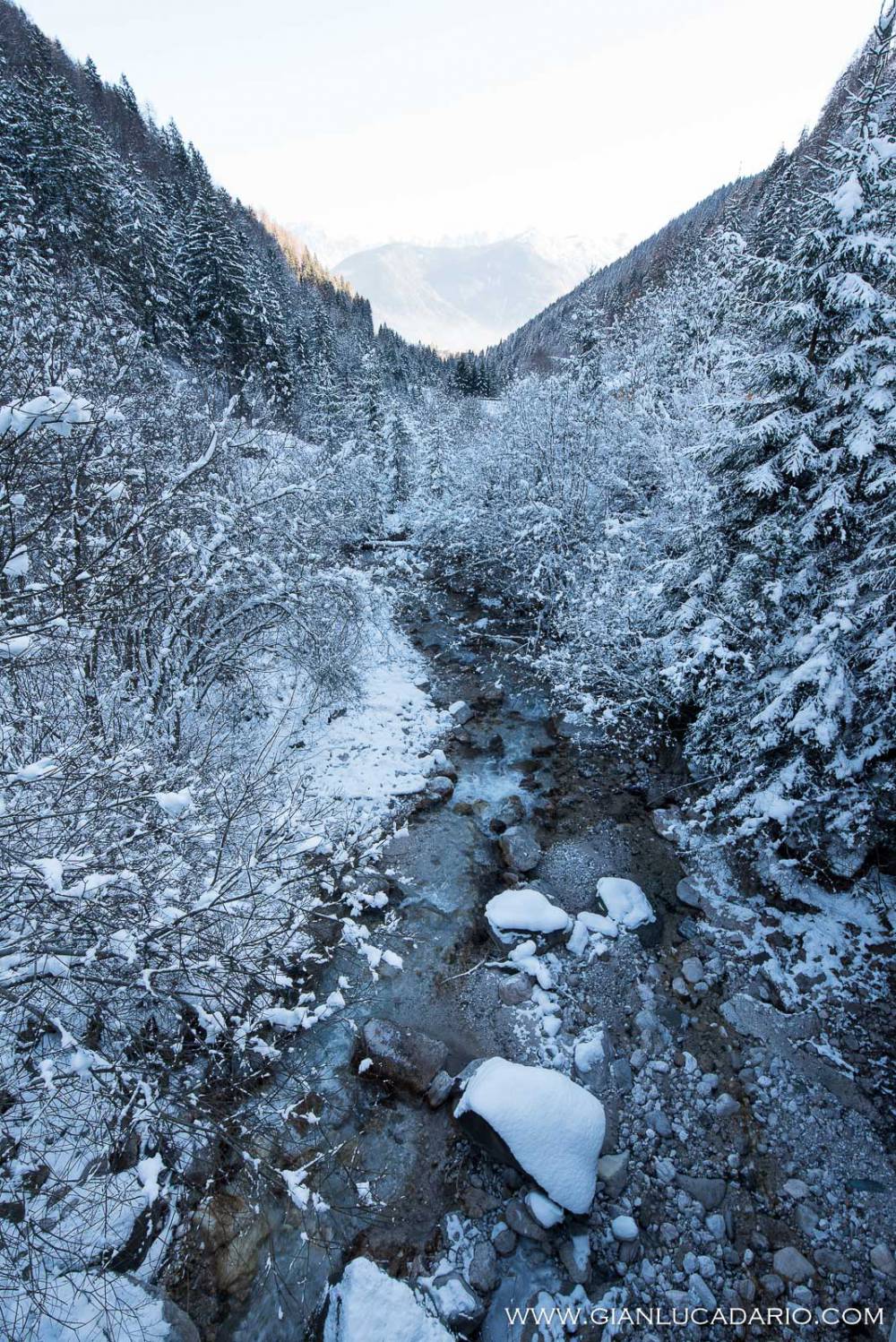 Panorami invernali a Calalzo - foto 0 - Gianluca Dario Photography