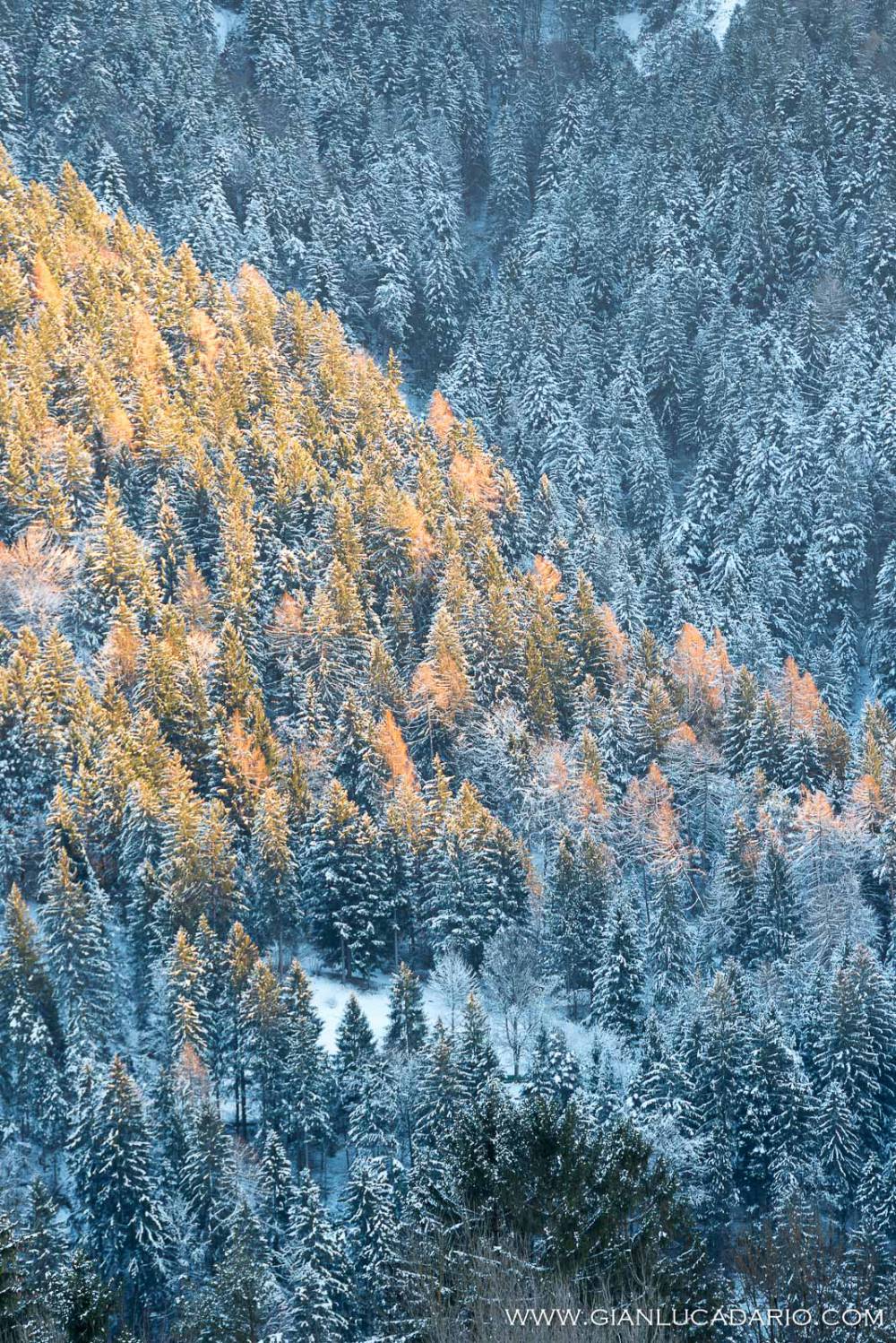 Panorami invernali a Calalzo - foto 14 - Gianluca Dario Photography