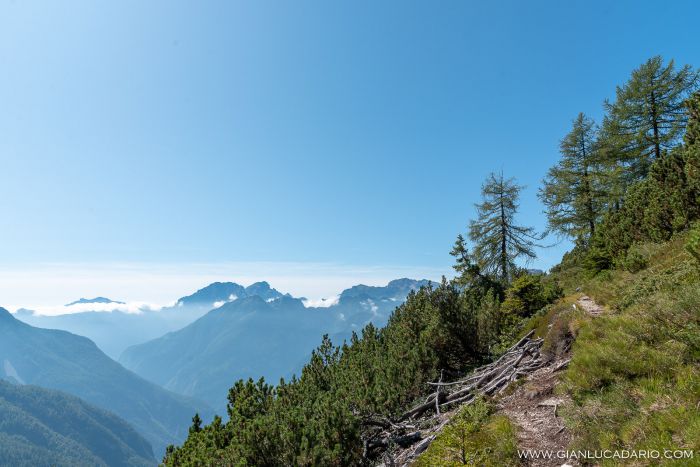 Sentieri Dolomitici - Casera Da Re Copada - foto 9 - Gianluca Dario Photography