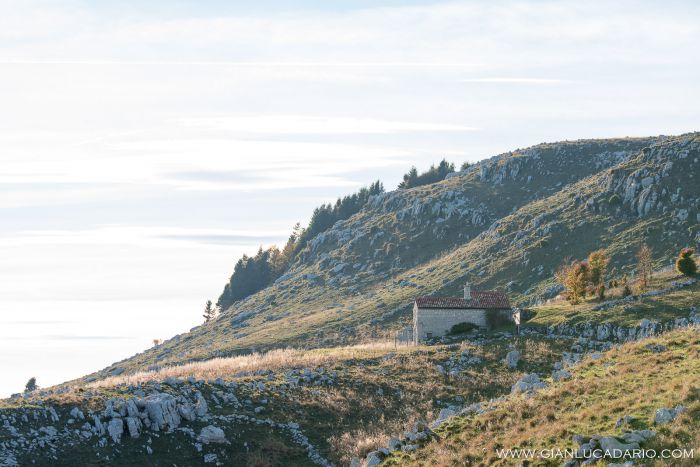 Sul monte Pizzoc in autunno - foto 2 - Gianluca Dario Photography