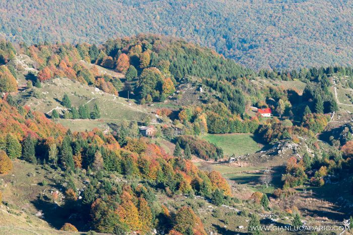 Sul monte Pizzoc in autunno - foto 3 - Gianluca Dario Photography